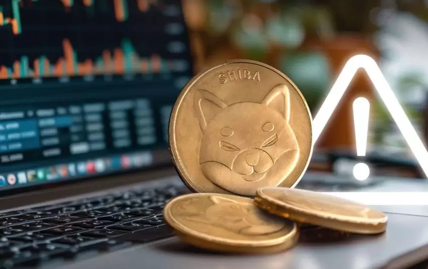 专家解读：加密货币投资中的心理风险与应对策略